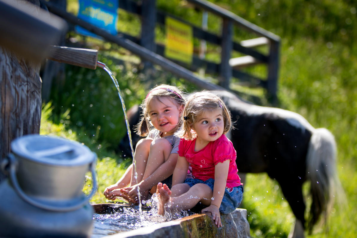 Sommerfrischer_Almurlaub_in_der_Steiermark