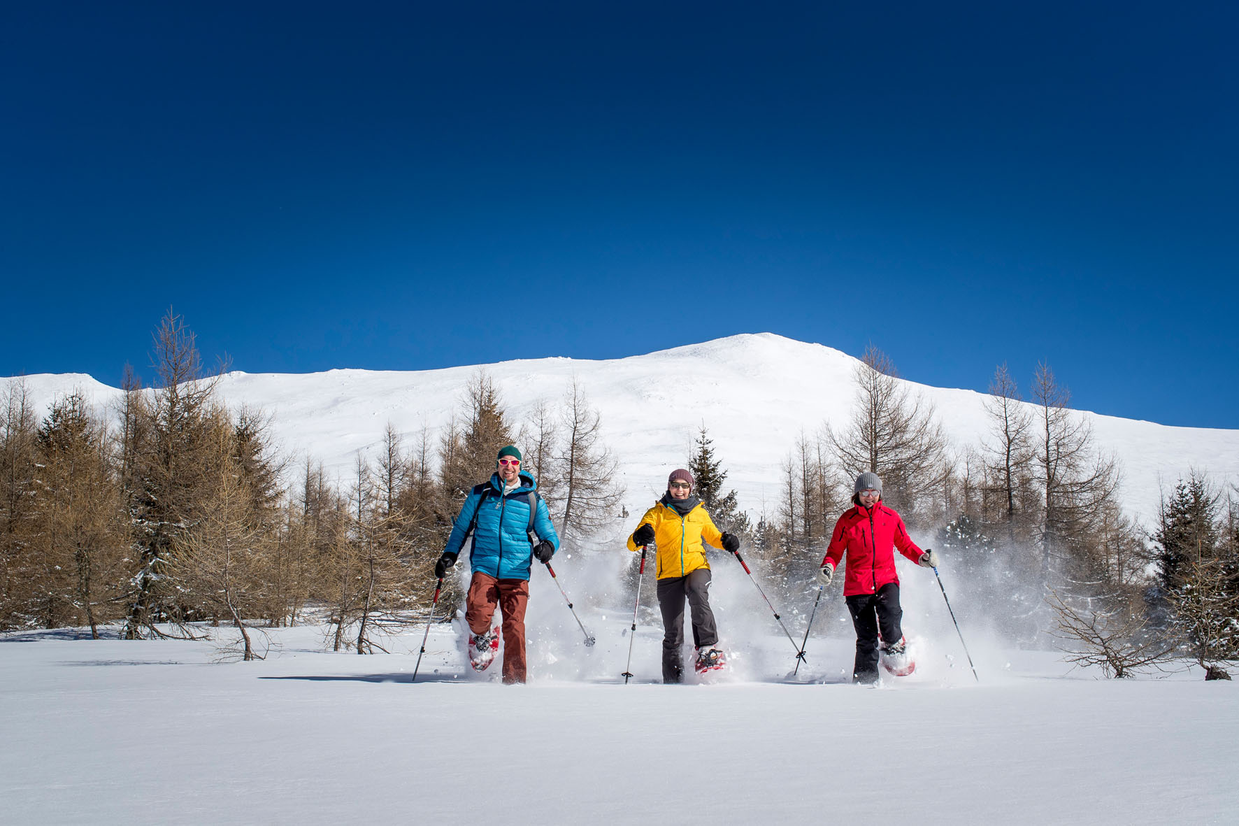 Aufbruch unter der Schneedecke