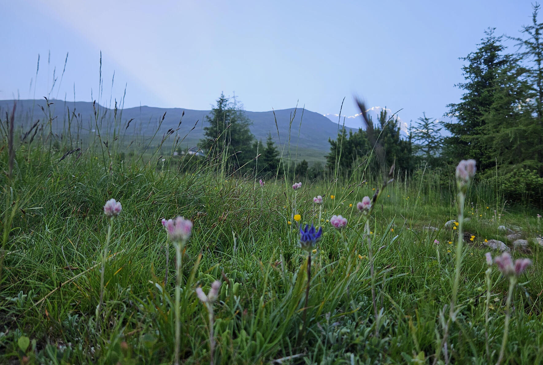 Zwischen Himmel, Wiese und Stille