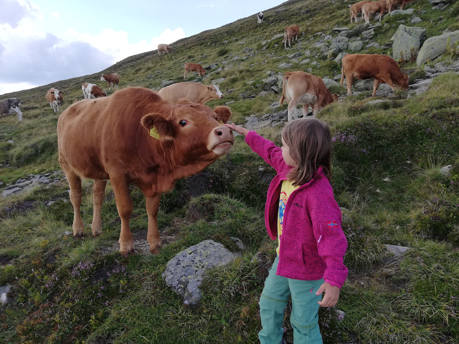 Kleine Füße, große Welt – warum die Alm für Kinder ein Geschenk ist