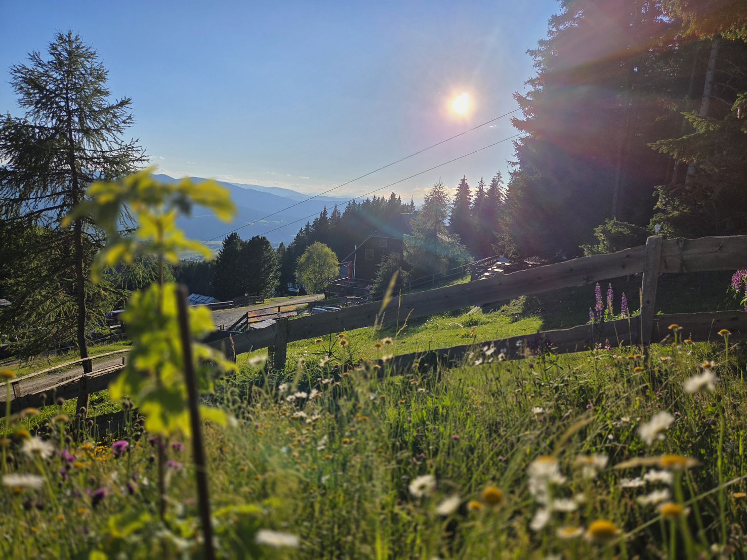 Ein Sommertag im AlmDorf Tonnerhütte